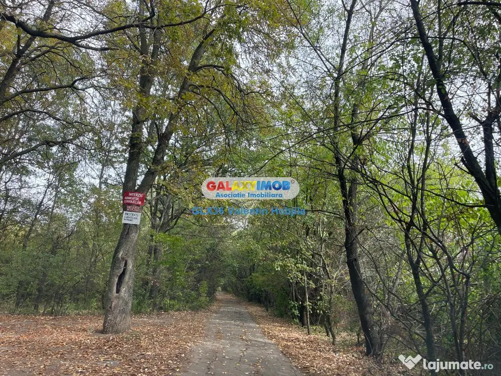 Teren 3300 mp Peris -deschidere padurea Scrovistea