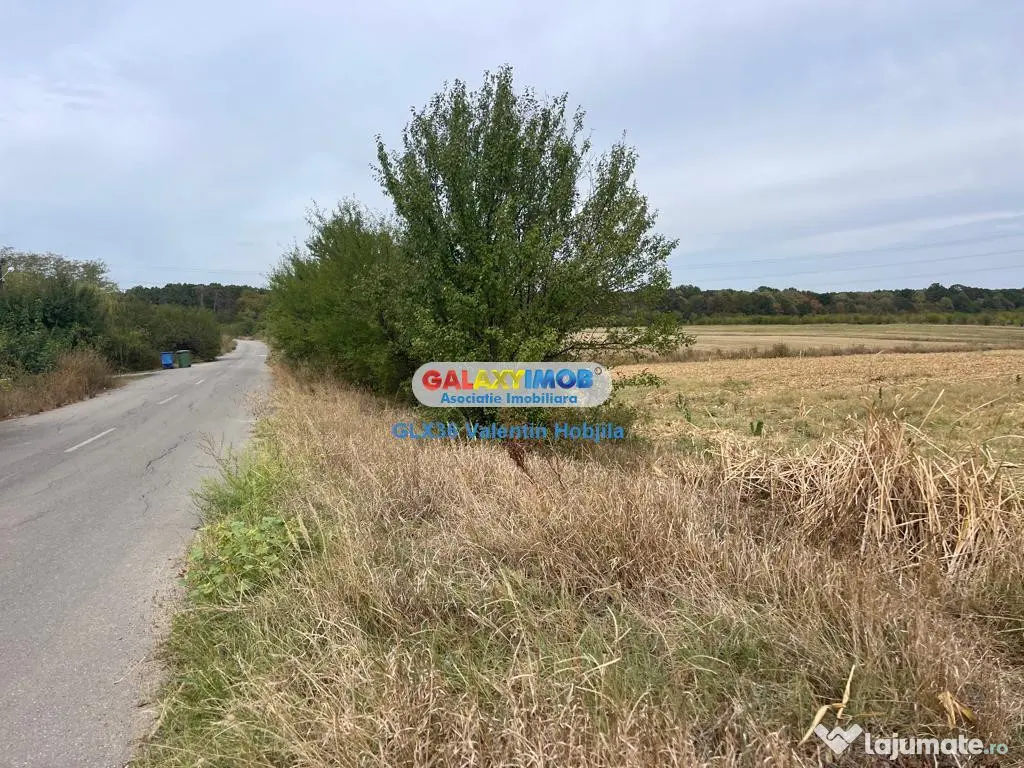 Teren 3300 mp Peris -deschidere padurea Scrovistea