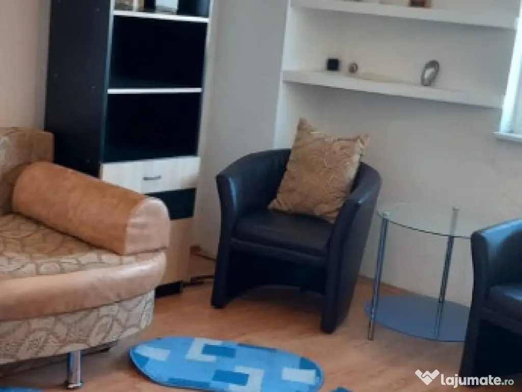 Garsoniera Calea Calarasilor /Viziru Libera