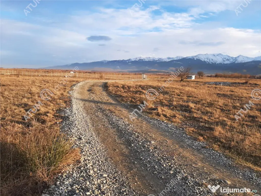 Teren extravilan 8400 mp de pe Valea Avrigului 