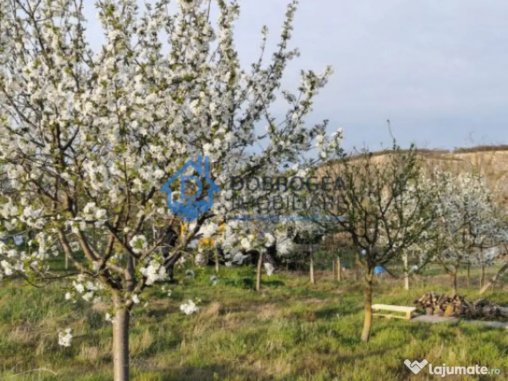 ZONA C.A.P.-TEREN INTRAVILAN ,608MP