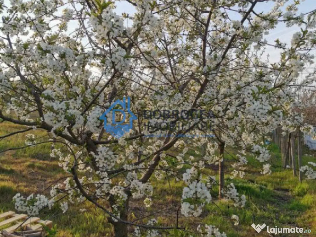 ZONA C.A.P.-TEREN INTRAVILAN ,608MP