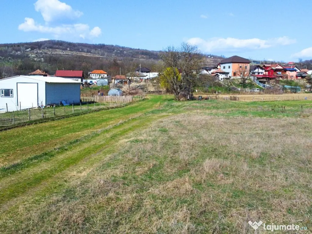 BUDESTI - TEREN 2550 MP 