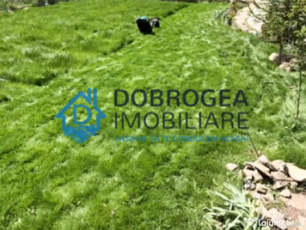 Vila Mineri, D+P+1, teren 1600 mp 