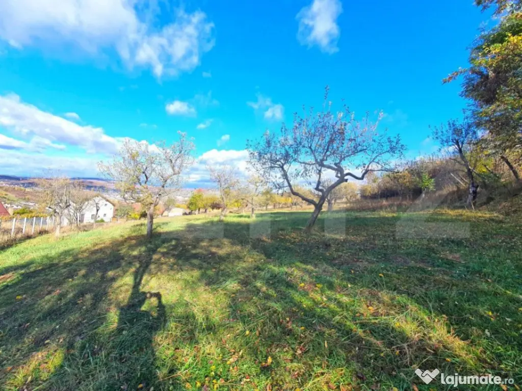 Teren intravilan 38 ari, cartierul Raal