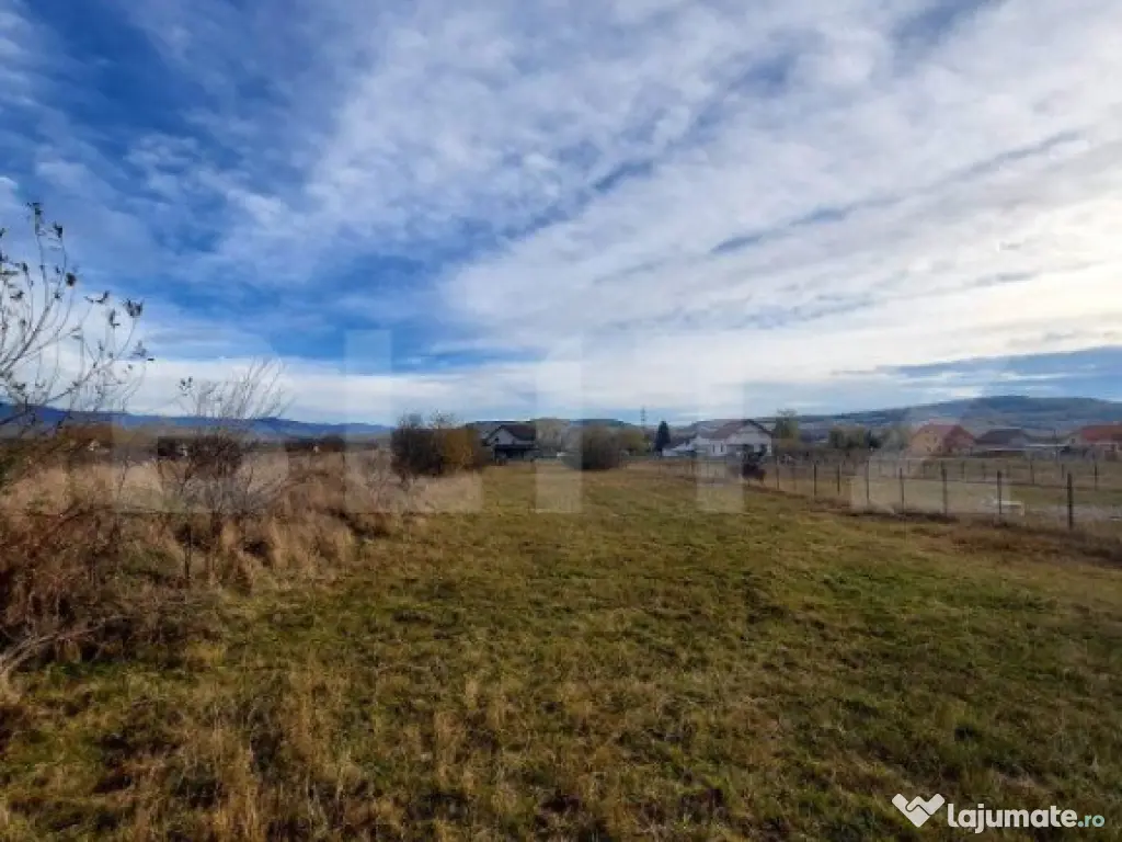 Teren de 25 ari în localitatea Livezile