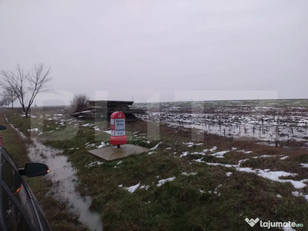 Teren intravilan stradal 17000 mp, toate utilitățile