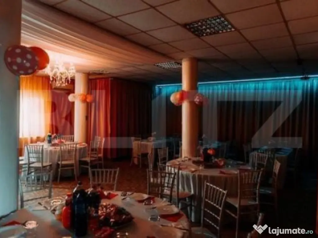 Ocazie, Vilă-Pensiune în zona Mehala