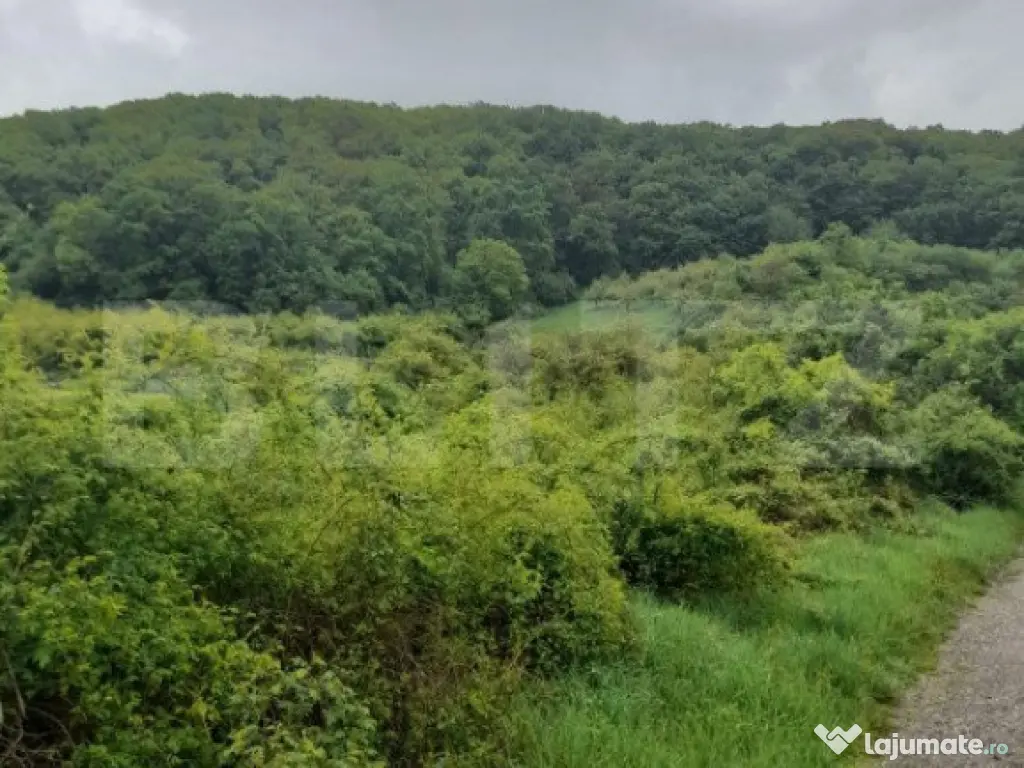 Teren extravilan, 10000 mp, zona Valea Rusului