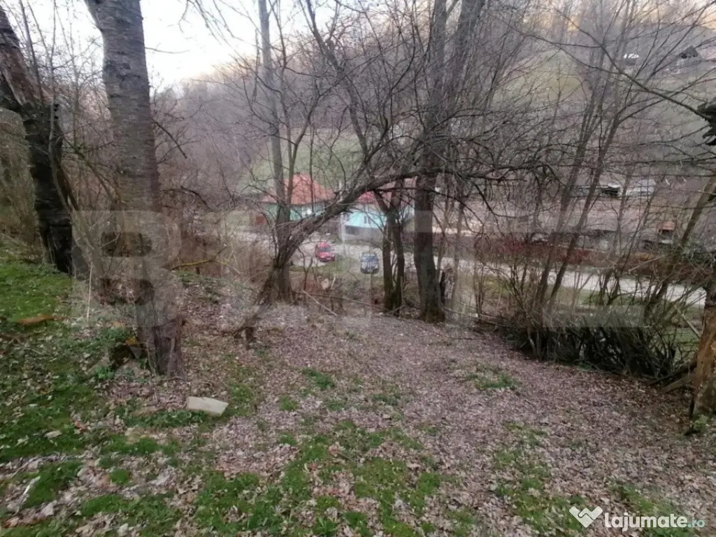 Teren intravilan 2900 mp in Zona Presaca Ampoiului