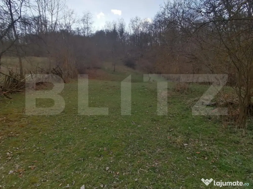 Teren intravilan 2900 mp in Zona Presaca Ampoiului