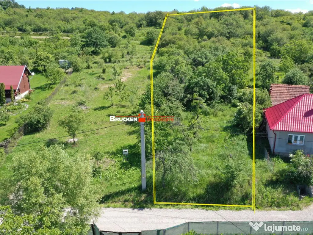 TEREN PENTRU CONSTRUCTIE REZIDENTIALA | 2878 MP | PODGORIA