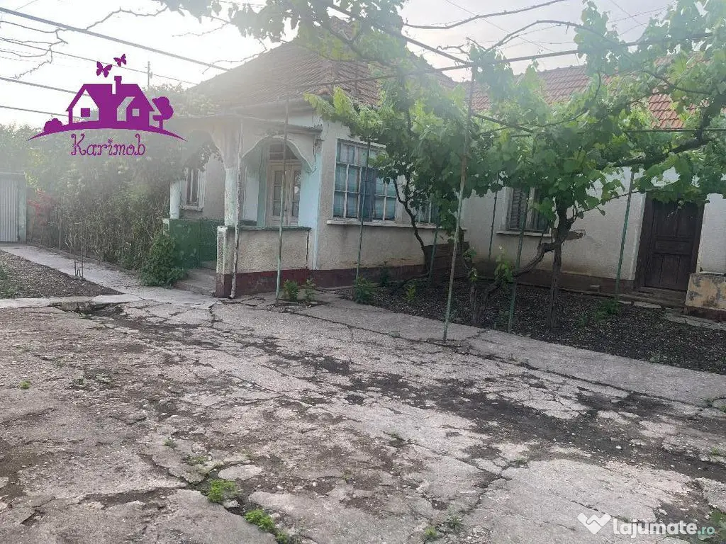 Casa în localitatea Ianosda 