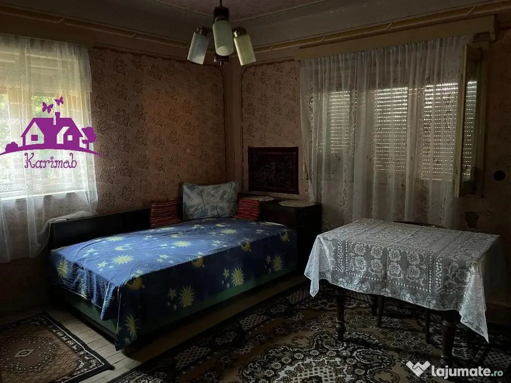 Casa în localitatea Ianosda 