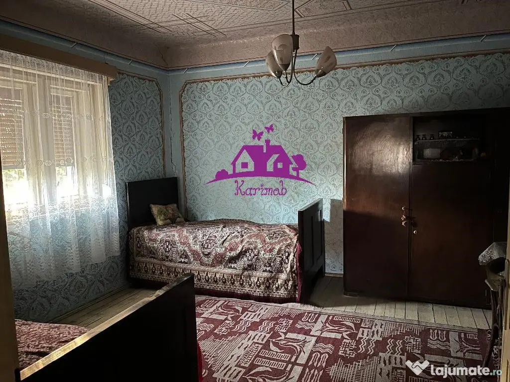 Casa în localitatea Ianosda 