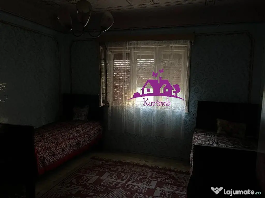 Casa în localitatea Ianosda 