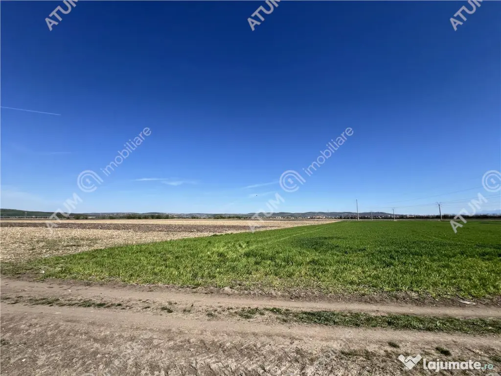 Teren intravilan in Sibiu 3300 mp situat in zona Calea Suri