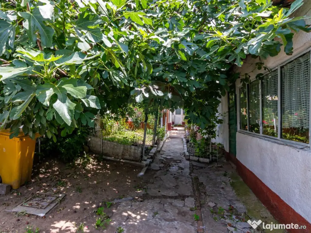 Teren de vanzare strada Frunzei | Piata Muncii 