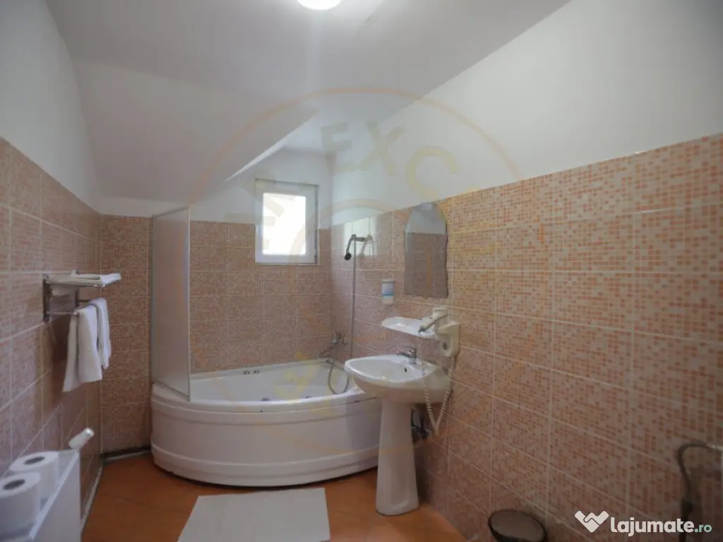 Pensiune in zona de munte-Baia de Fier 