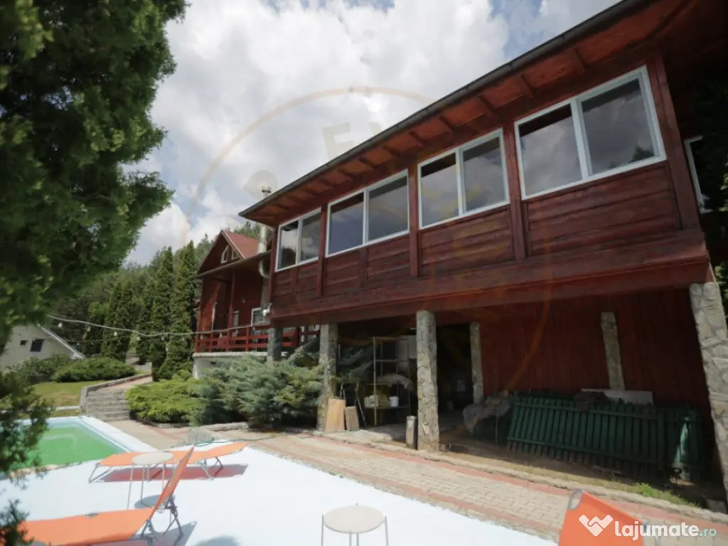 Pensiune in zona de munte-Baia de Fier 