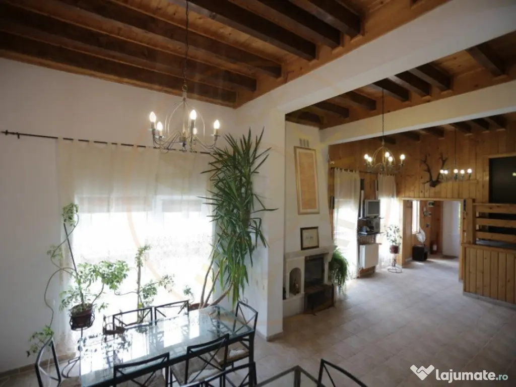 Pensiune in zona de munte-Baia de Fier 