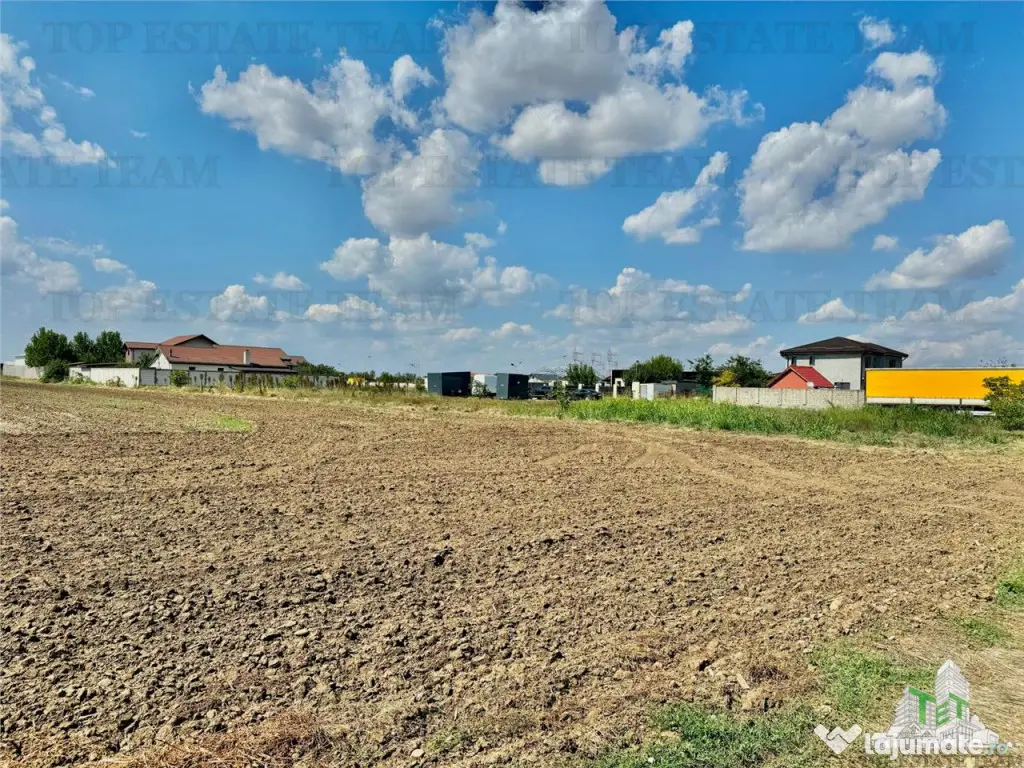 Teren 64 de parcele de / Teren de investitie / Frumusani /