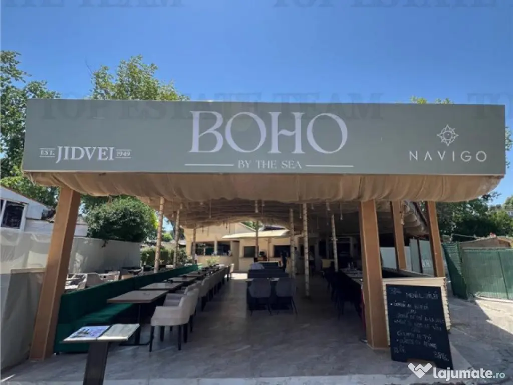 AFACERE LA CHEIE COSTINESTI 