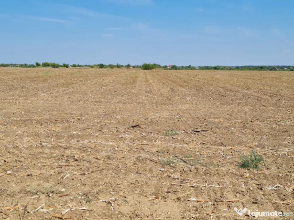 Teren pentru proiect de case in Buftea, cu deschidere la lac 