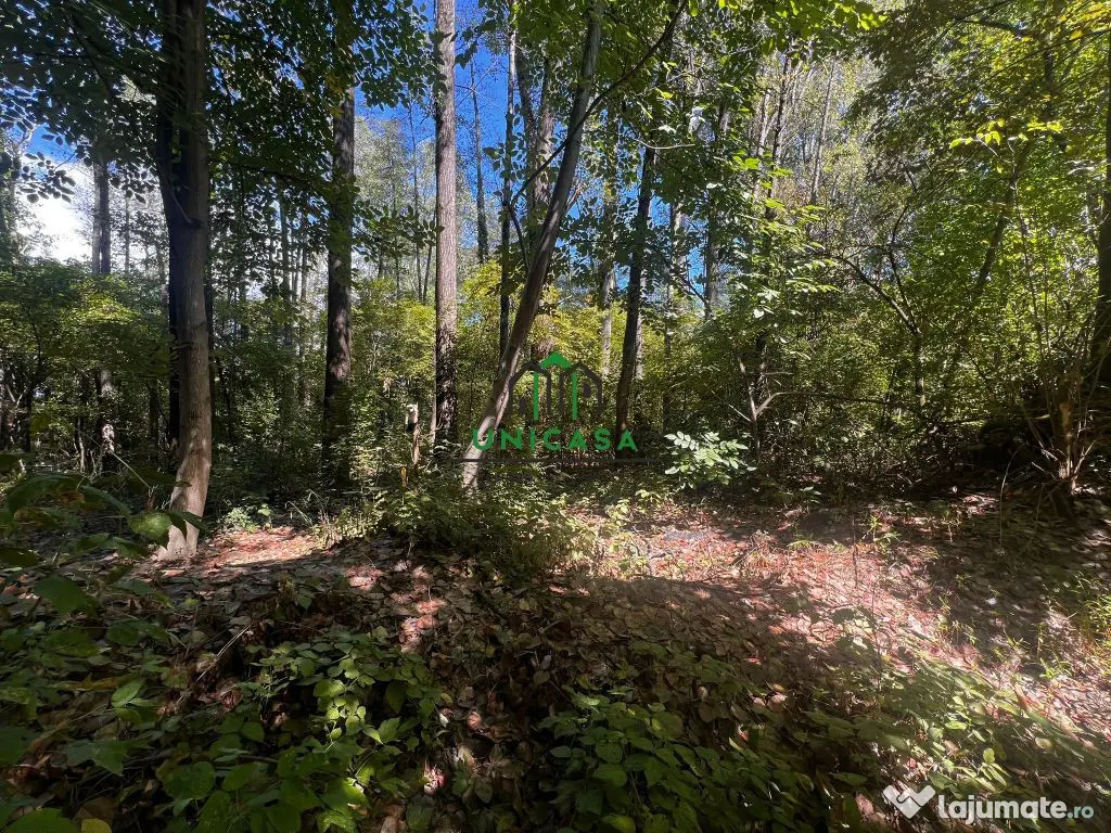 Teren zona Nord/ 6000 mp 