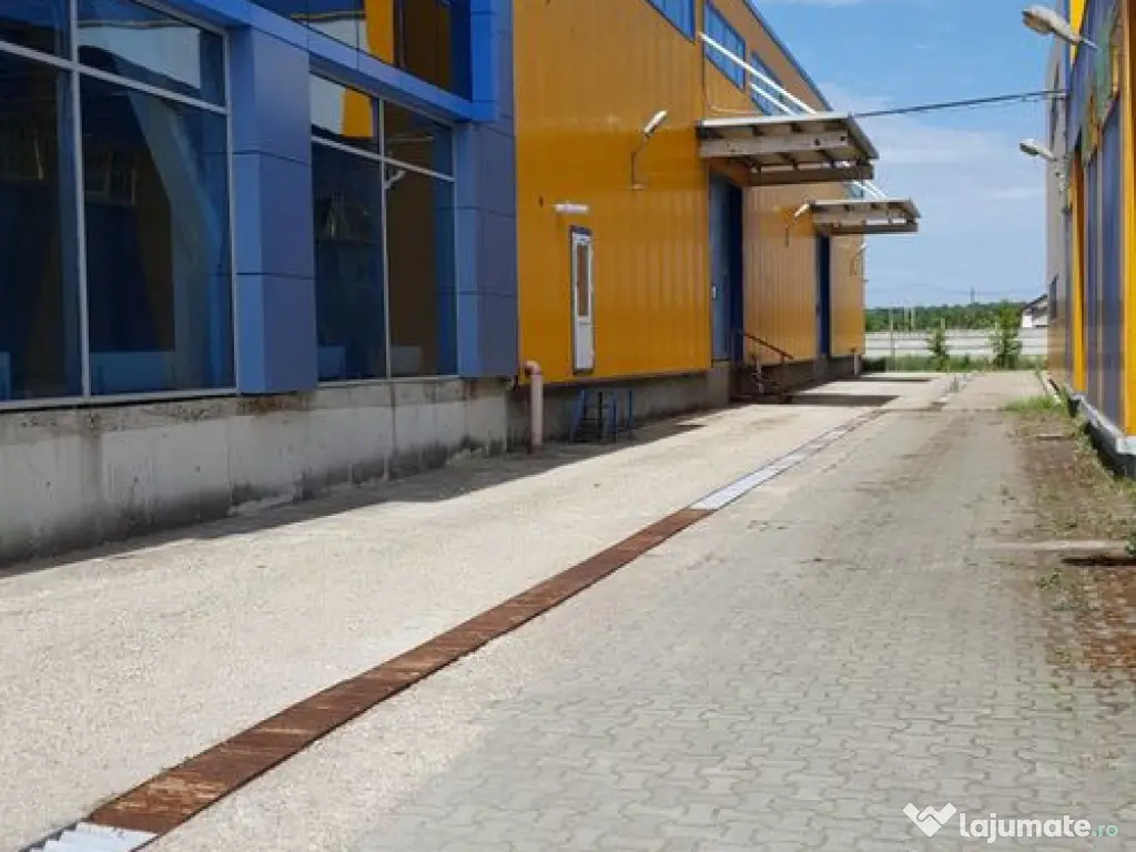 Spațiu depozitare si productie Ciolpani 