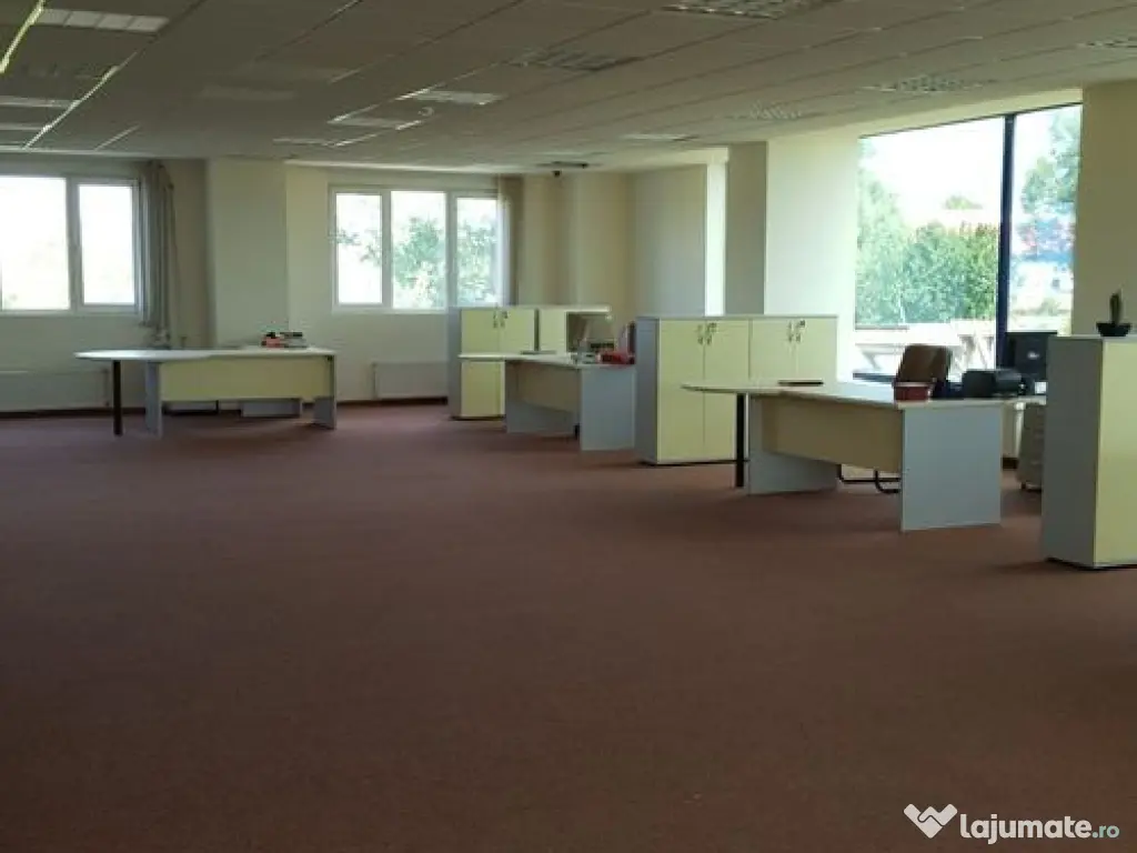 Spațiu depozitare si productie Ciolpani 