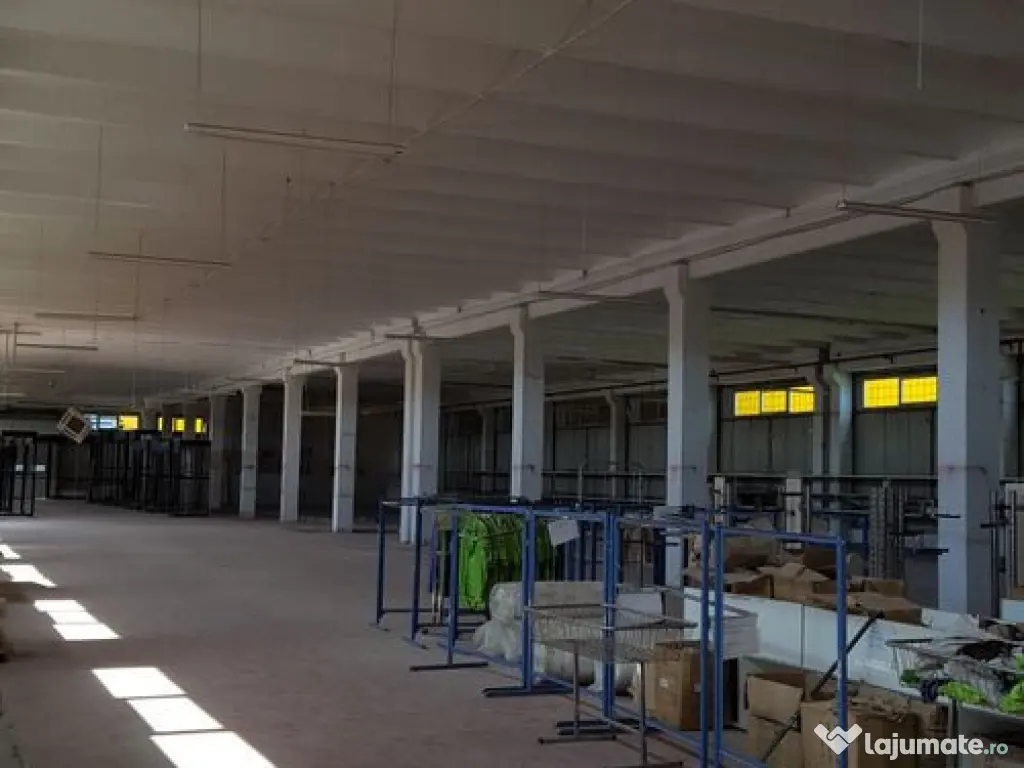 Spațiu depozitare si productie Ciolpani 