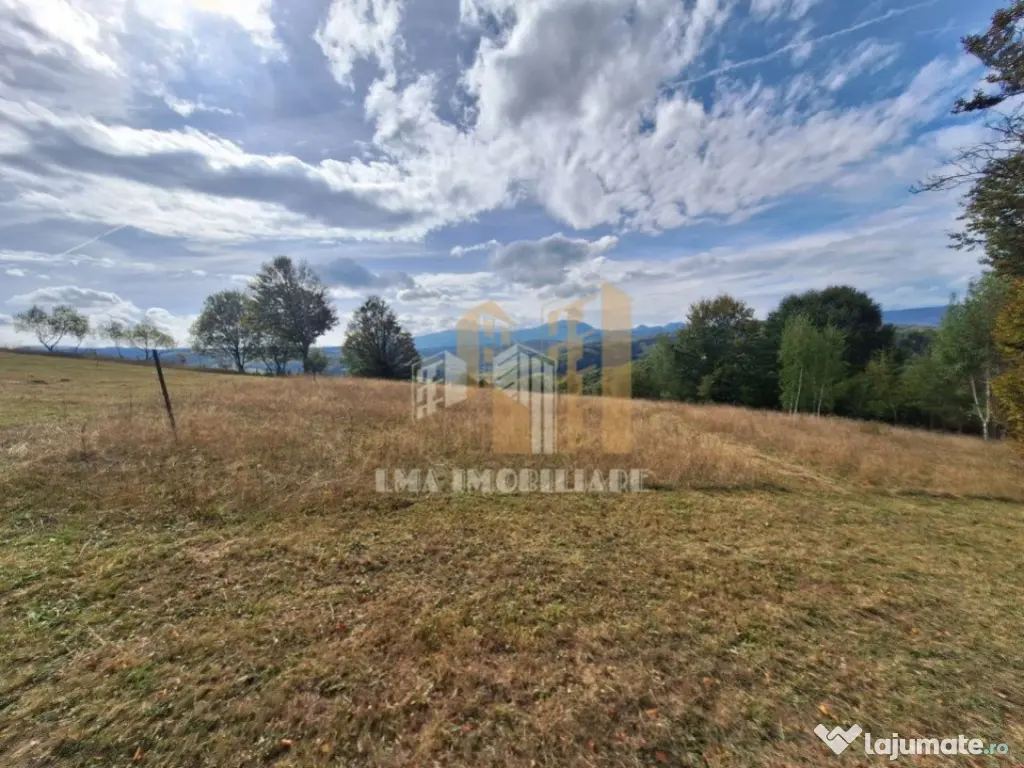 Teren Intorsura Buzaului Dealul Frumos