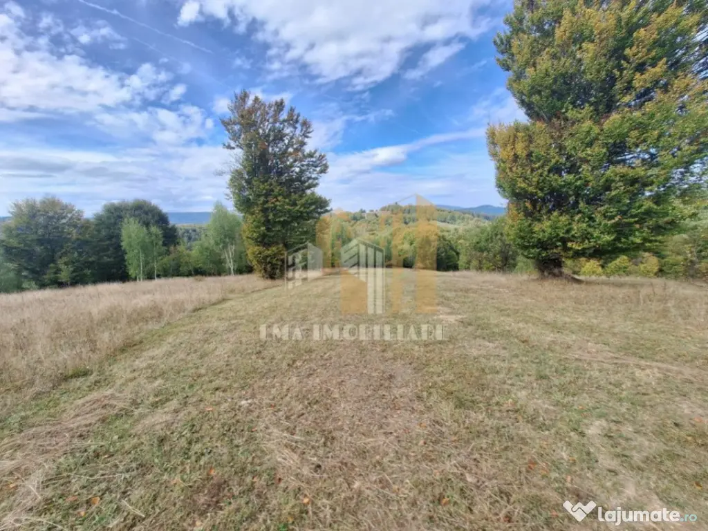 Teren Intorsura Buzaului Dealul Frumos