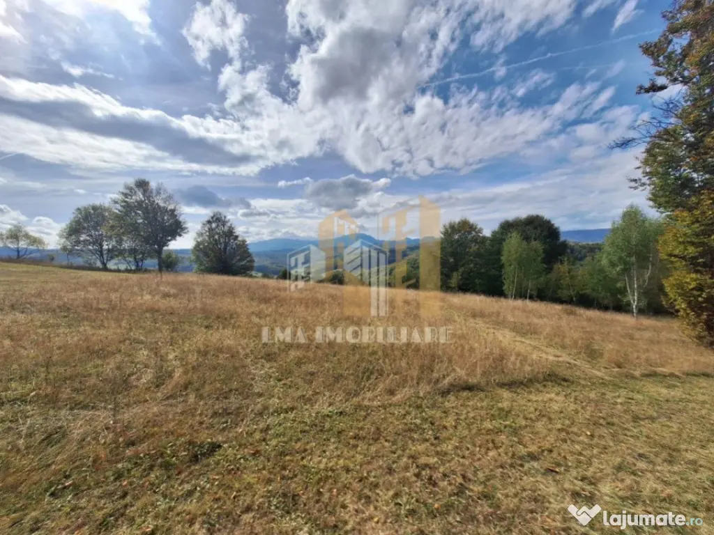 Teren Intorsura Buzaului Dealul Frumos