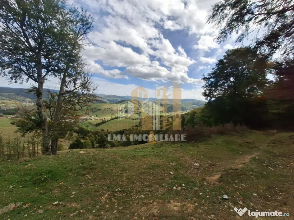 Teren Intorsura Buzaului Dealul Frumos