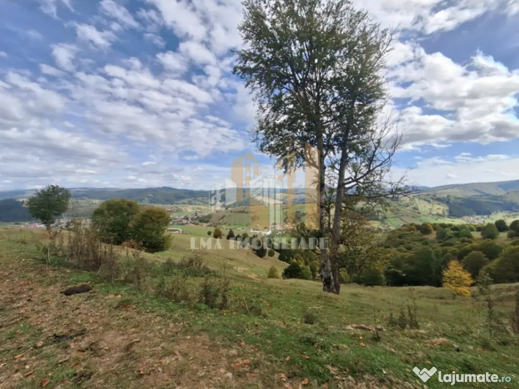 Teren Intorsura Buzaului Dealul Frumos