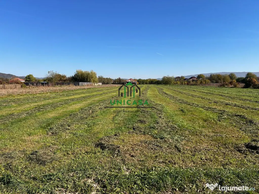 Teren intravilan/Str Balciului/Copacelu 