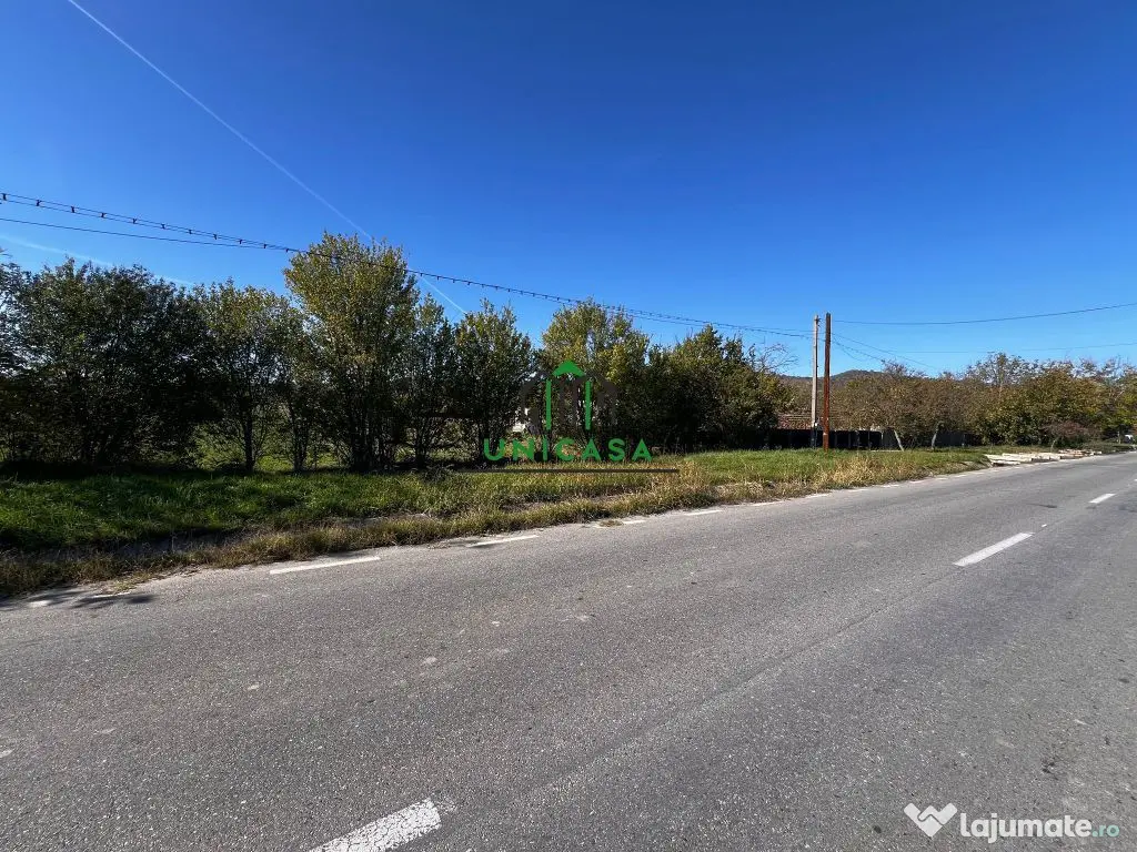 Teren intravilan/Str Balciului/Copacelu