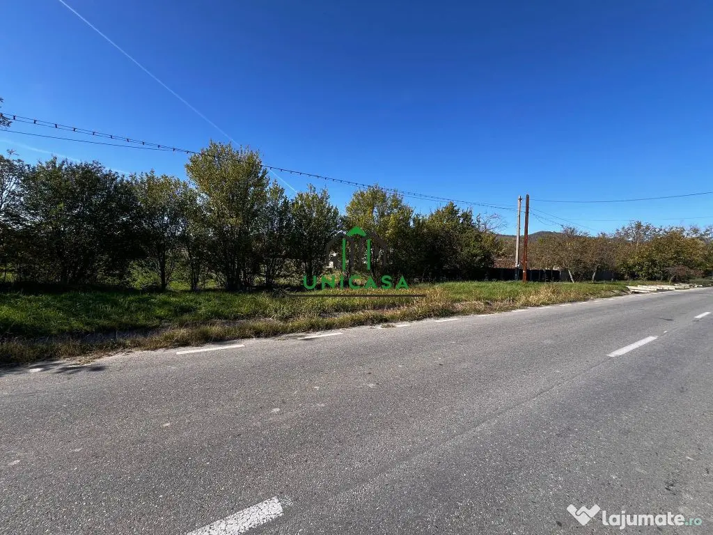 Teren intravilan/Str Balciului/Copacelu 