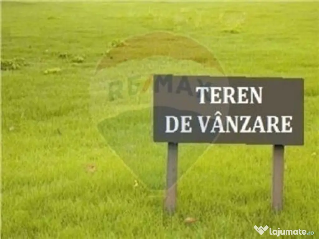 Teren 10,000mp Arad / DJ 682 