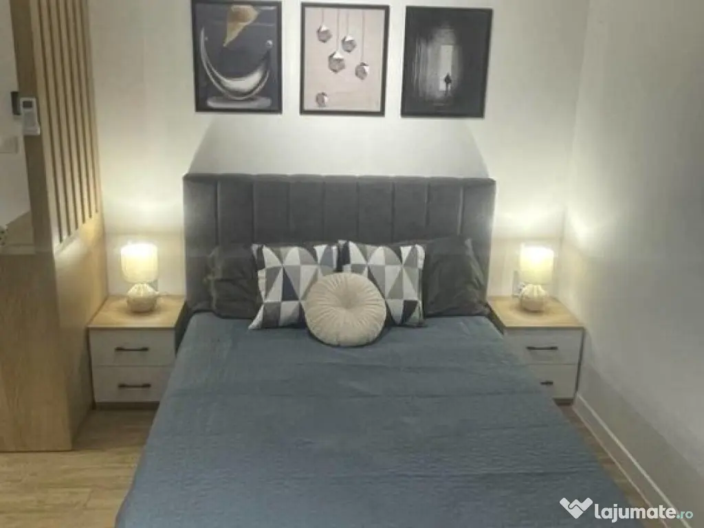 Apartament cu o camera in Centru