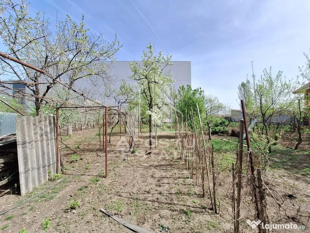 Casa “la gri” cu gradina, zona Calea Aurel Vlaicu - B...