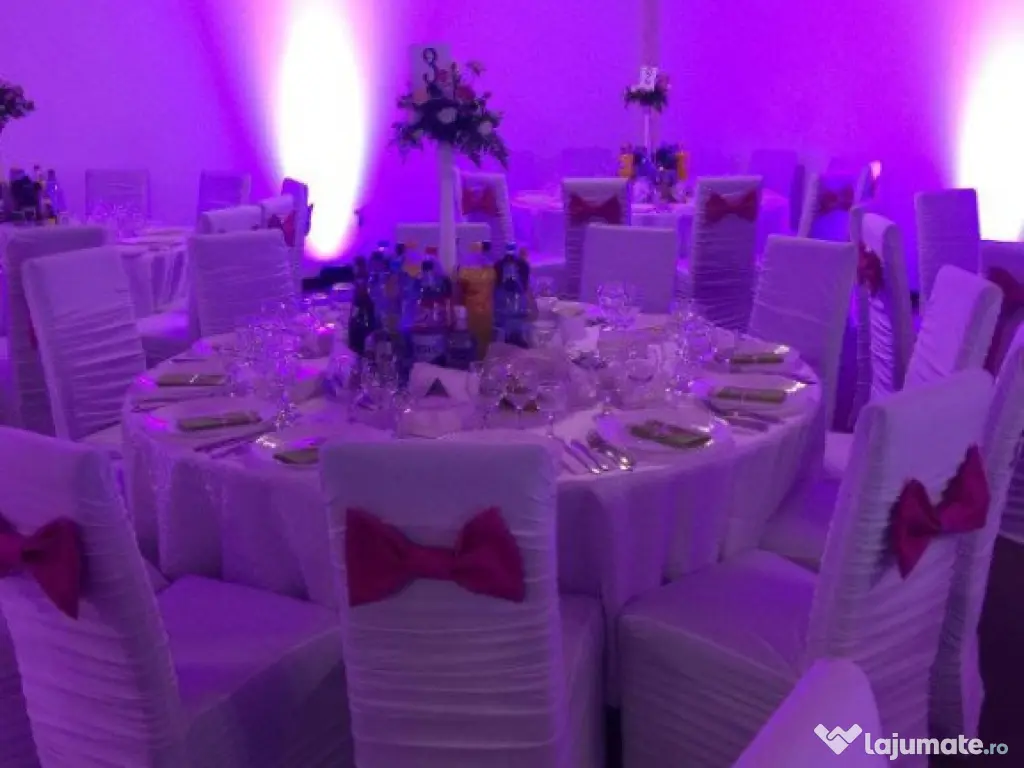 Afacere la cheie! 2 sali evenimente+ apartament 220mp, Siret