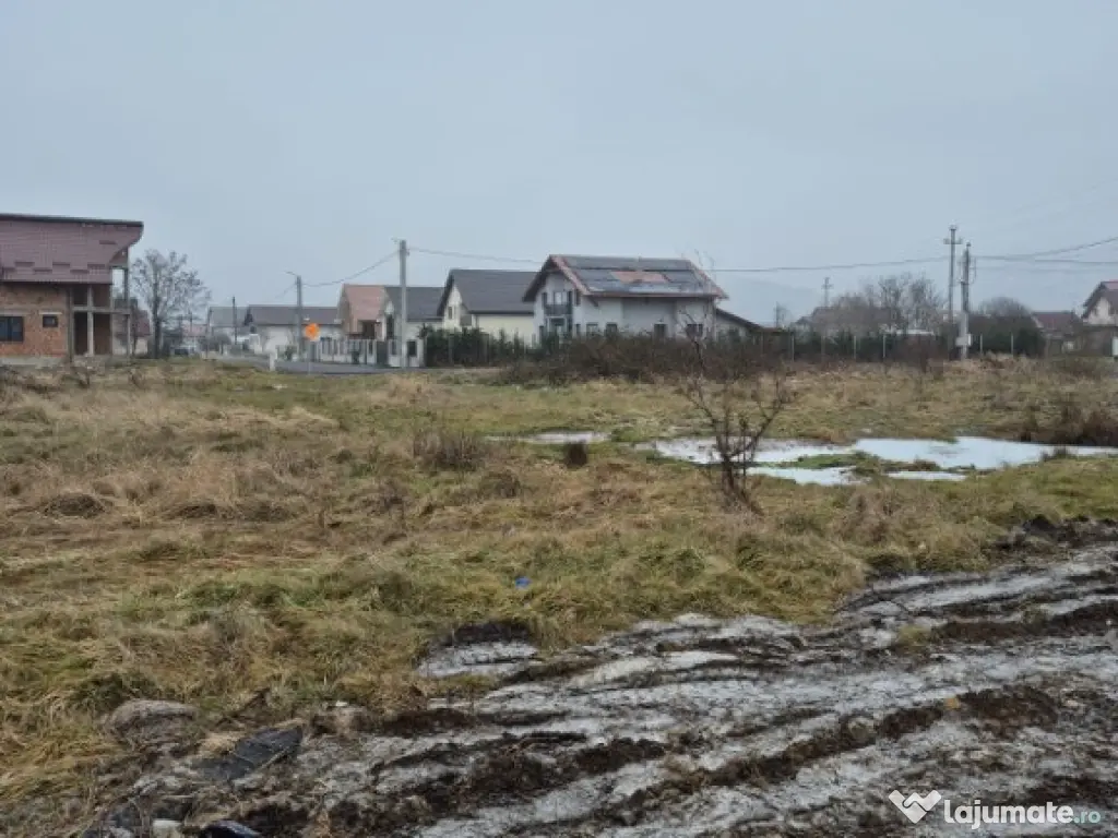 Seini, str. Tineretului, 60 ari teren