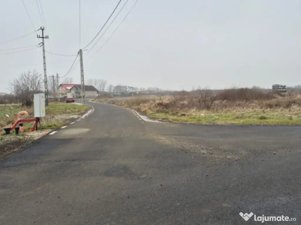 Seini, str. Tineretului, 60 ari teren