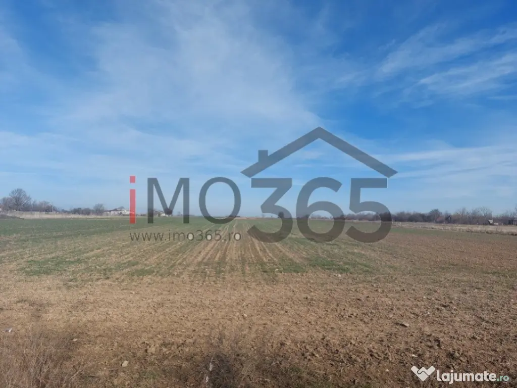 Teren intravilan loturi Parvu Rosu 500 mp - aproape de Pites 