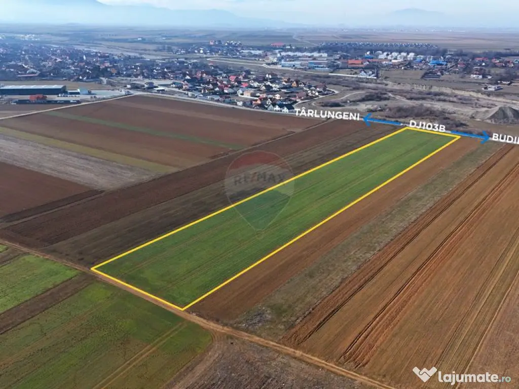 Teren extravilan | 14,600mp | Tărlungeni 