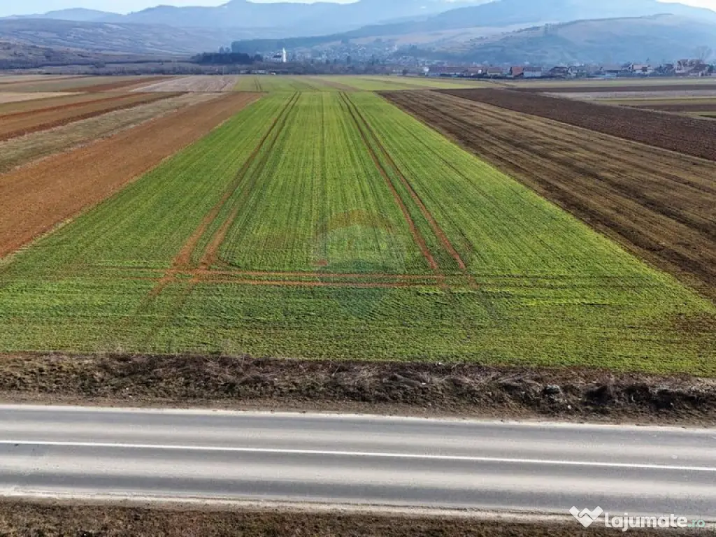 Teren extravilan | 14,600mp | Tărlungeni 