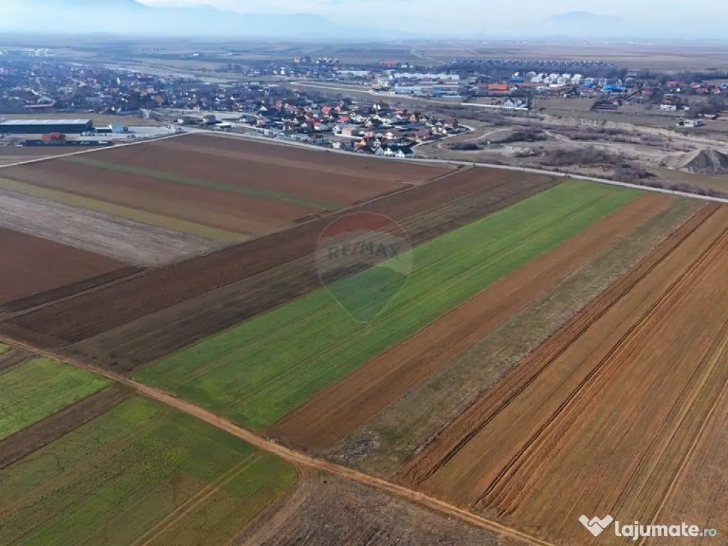 Teren extravilan | 14,600mp | Tărlungeni 